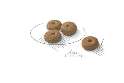 رويال كانين ميني معقم للكبار 3 كجم