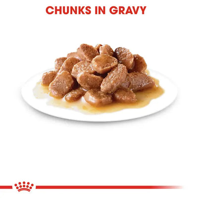 ROYAL CANIN Instinctive Gravy 85G