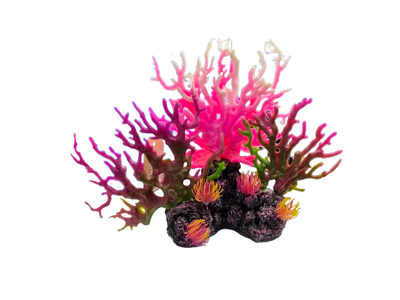 AQUARIUM DECORATION