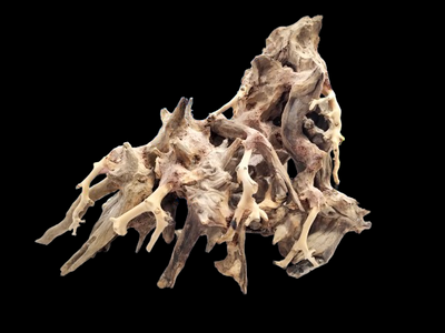 الأخشاب الطافية