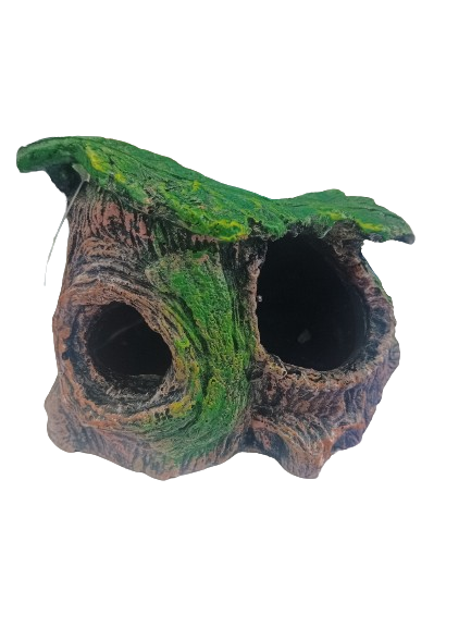 ديكور حوض السمك