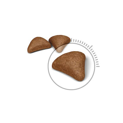 كرة الشعر من رويال كانين