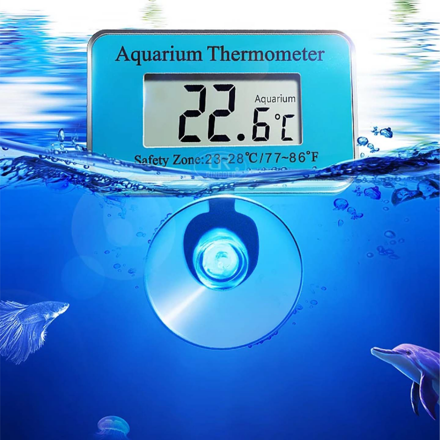 Digital Display Thermometer