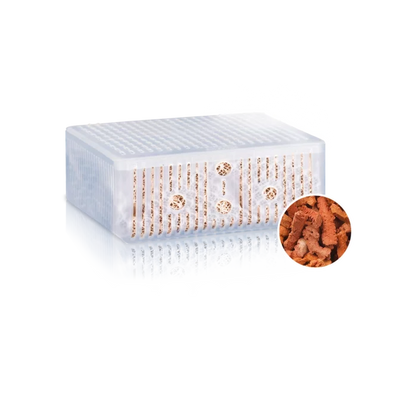 جويل فوراكس إل