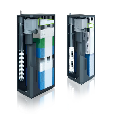 جويل بيوباد إل