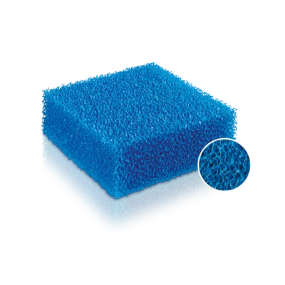 جويل بيوبلس خشن L