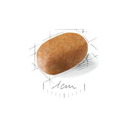 رويال كانين مالتيز 1.5 كجم