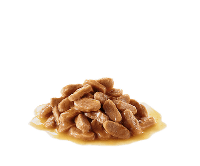 رويال كانين بابي ماكسي جريفي 140 جرام