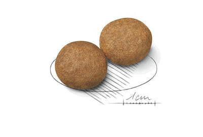 رويال كانين طعام متوسط 15 كجم