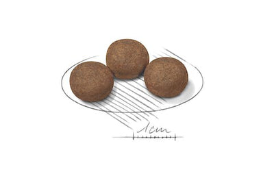 رويال كانين بابي وسط 1 كجم