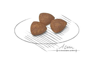 رويال كانين بابي ميني اندور 1.5 كجم