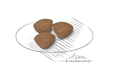 رويال كانين بابي ميني 8 كيلو