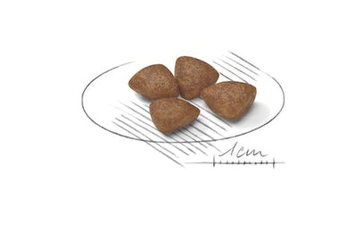 رويال كانين ميني ستارتر 1 كجم