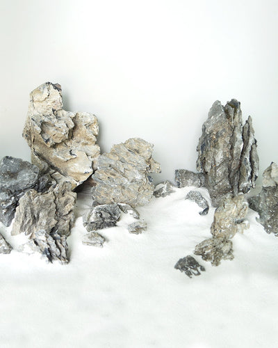 مشهد حوض السمك روك 1 كجم