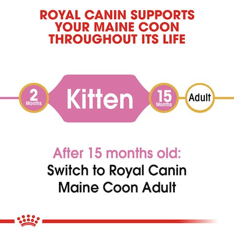 ROYAL CANIN MAINE COON KITTEN