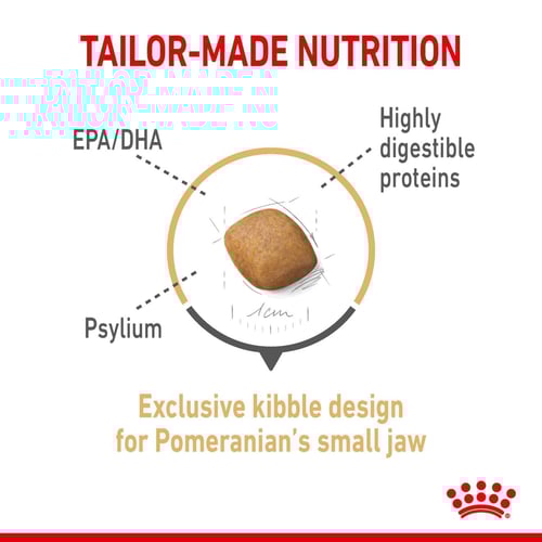 رويال كانين كلب صغير طويل الشعر البالغ 1.5 كجم