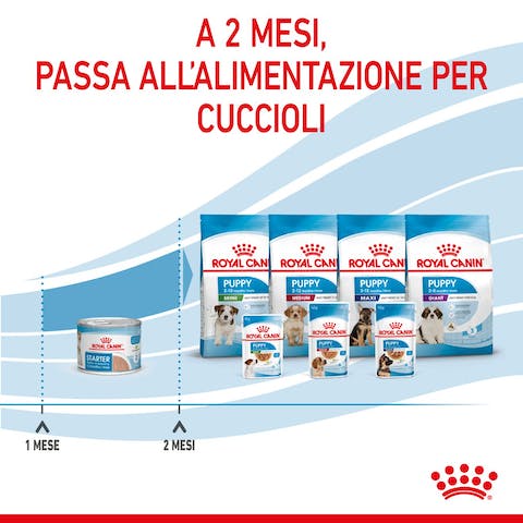 ROYAL CANIN STARTER MOUSSE CANE 195G