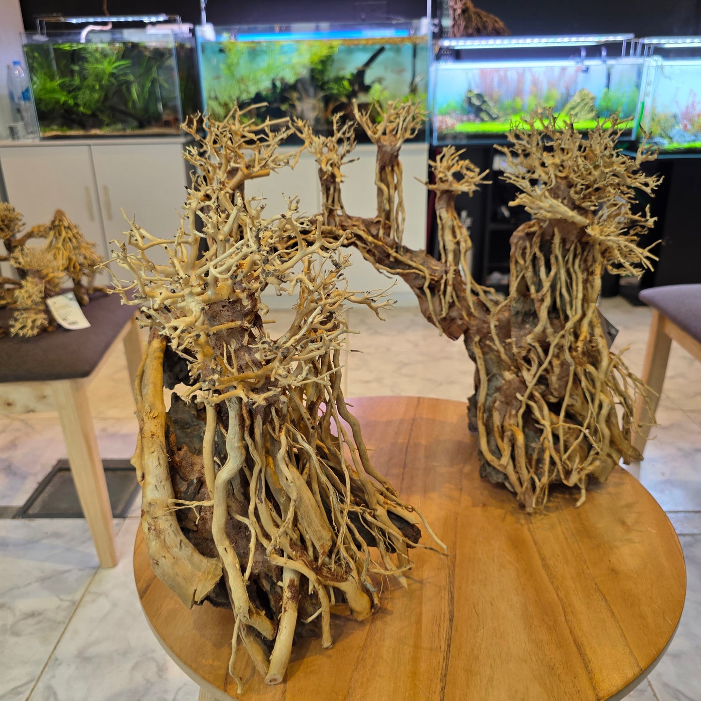 Romantic Bridge Bonsai Driftwood