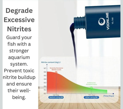 Voonline B6 Professional Methylene Blue