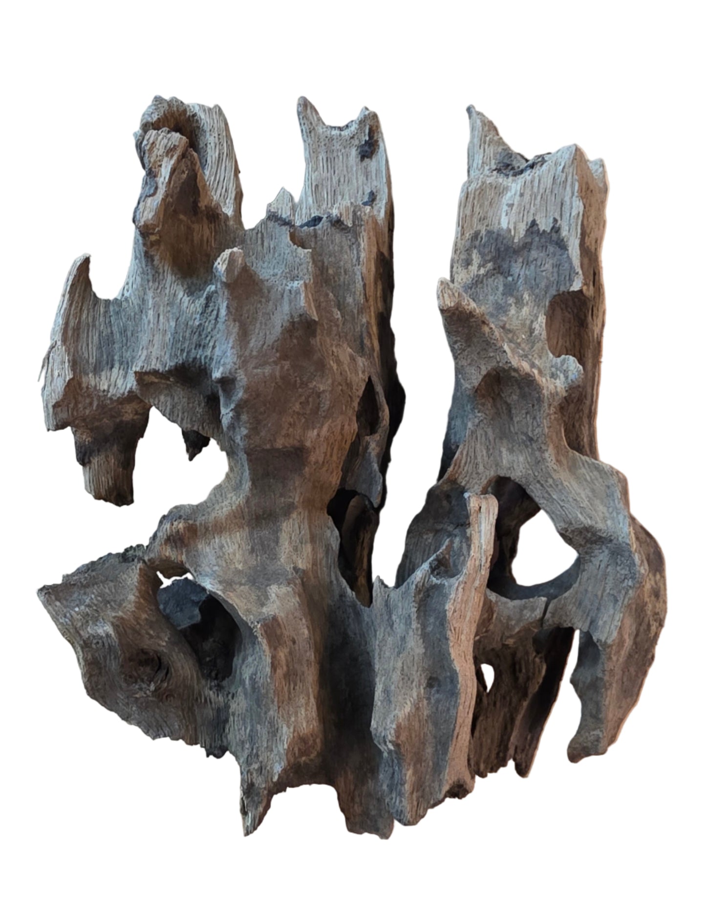 Honey Comb Drift Wood