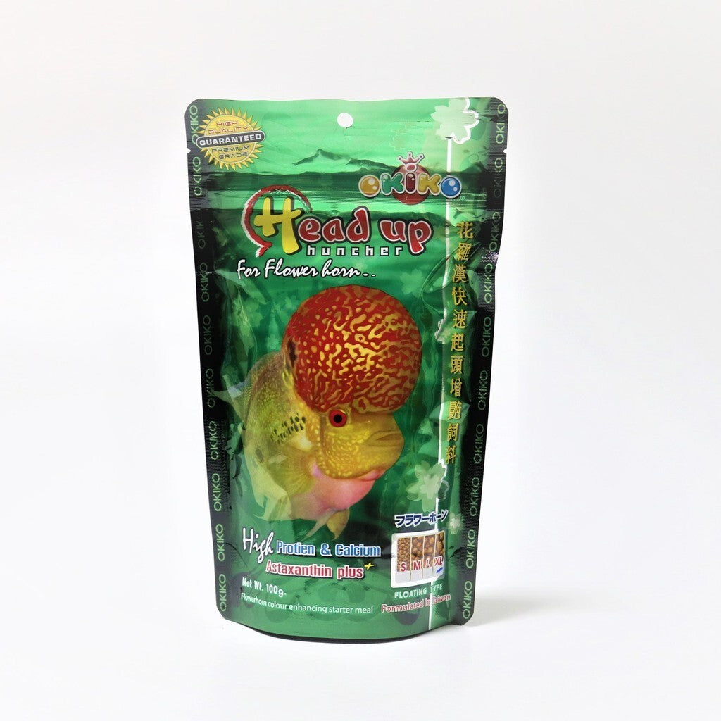 Okiko Flowerhorn Head up Huncher Flowerhorn Fish Food