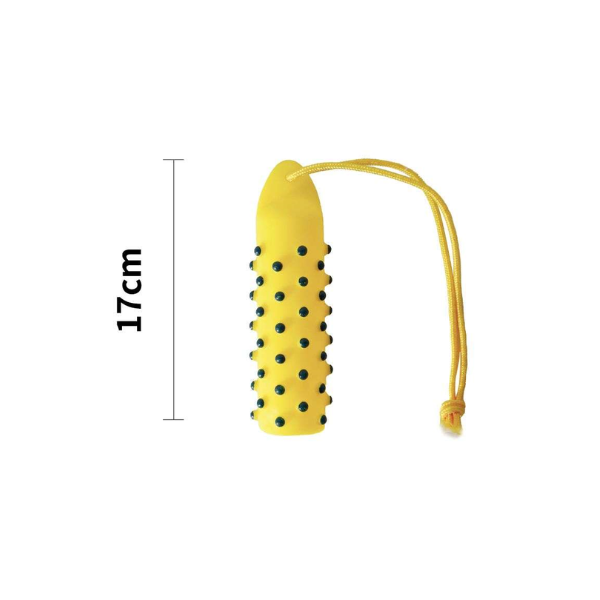 Vinyl Squeaky Toys 17Cm