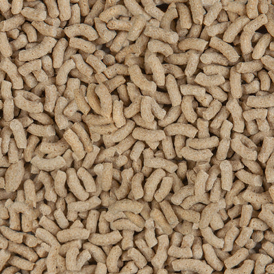 SERA POND COLOR 3.8L