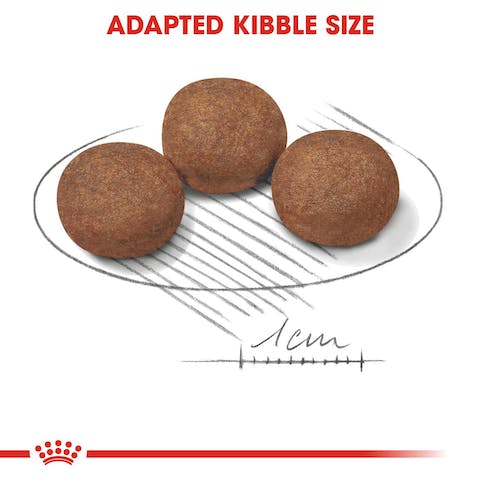 رويال كانين بابي وسط 1 كجم