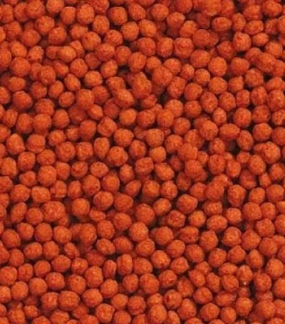 طعام أسماك تترا لوهان فلورهورن