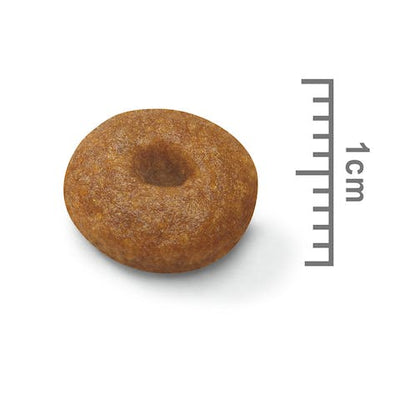 رويال كانين ماكسي ستارتر 15 كجم