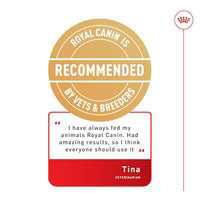 ROYAL CANIN Shih Tzu Adult Gravy 85G