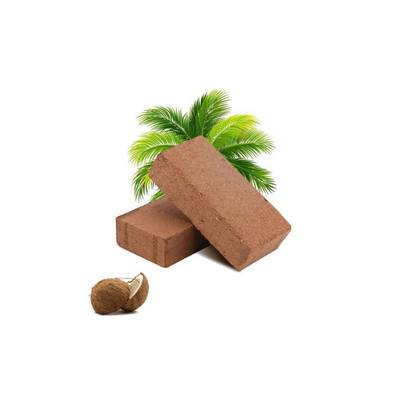 Cocunut Brick Shell