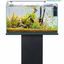 Golden River Forest – Natural Driftwood Planted Aquarium Aquascape