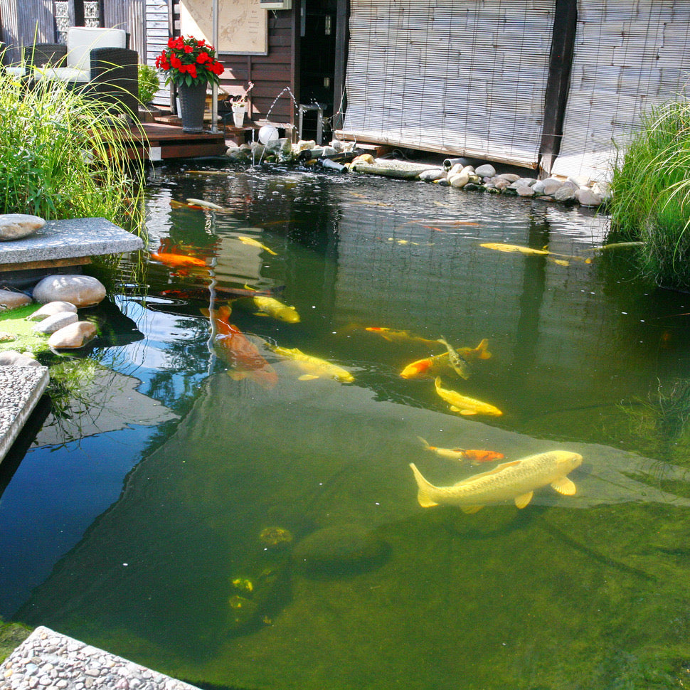 عصا جيه بي ال برو بوند لجميع المواسم