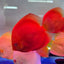 Red Melon Discus Fish
