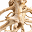 Natural Branch Driftwood – 40–60 cm