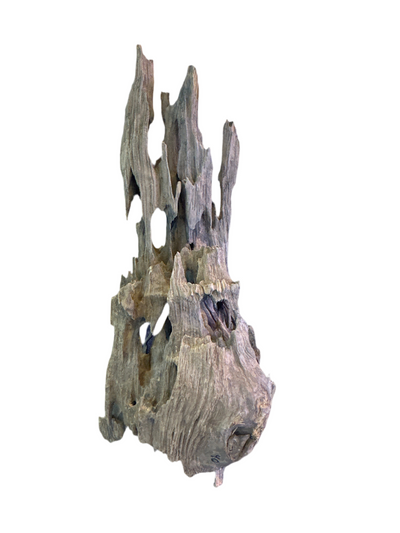Honey Comb Drift Wood