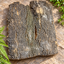 Natural Bark Wood – Decorative Slab