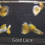 GOLD LACE SPECIAL GUPPY PAIR