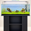 Emerald Highlands – Mountain Stone Carpet Planted Aquarium