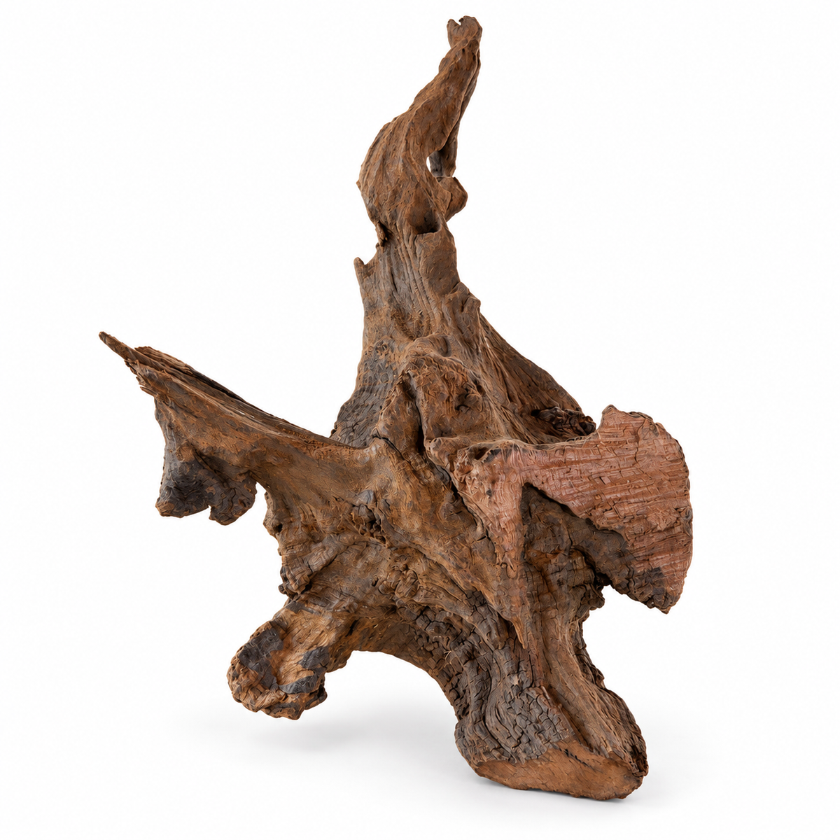 Natural Sculpted Driftwood – 20–40 cm