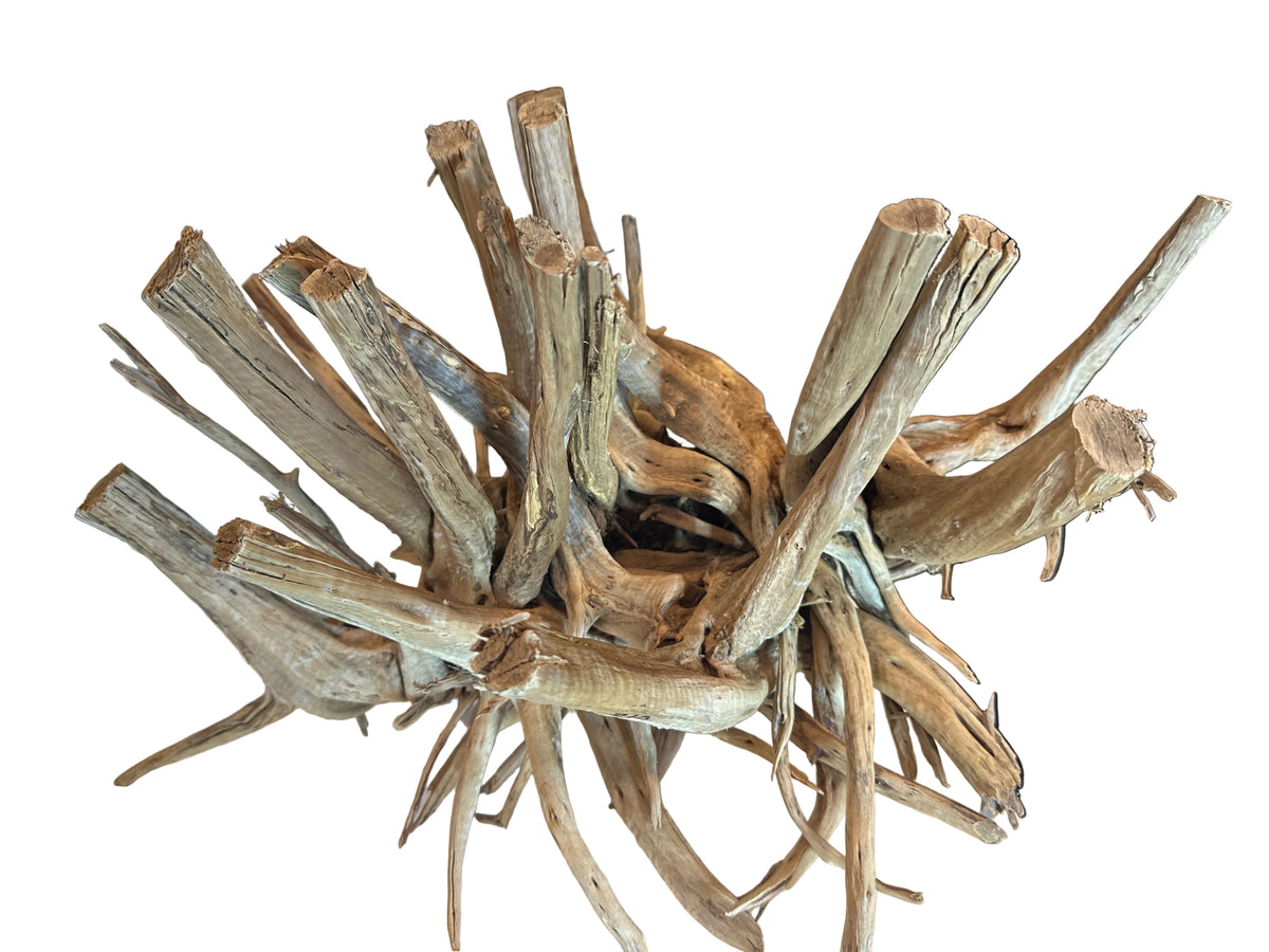 Natural Root Driftwood 47x38x34cm