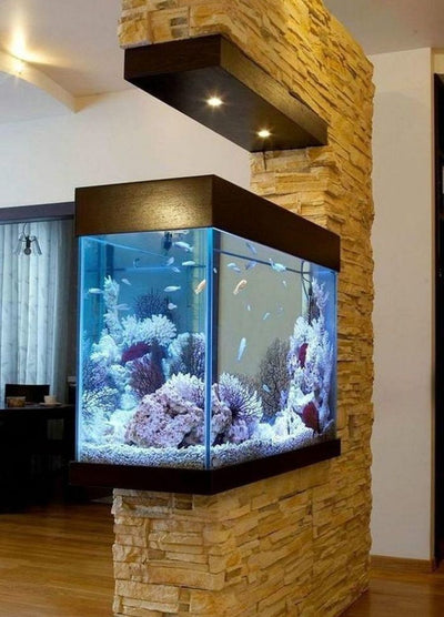 Customize Aquarium