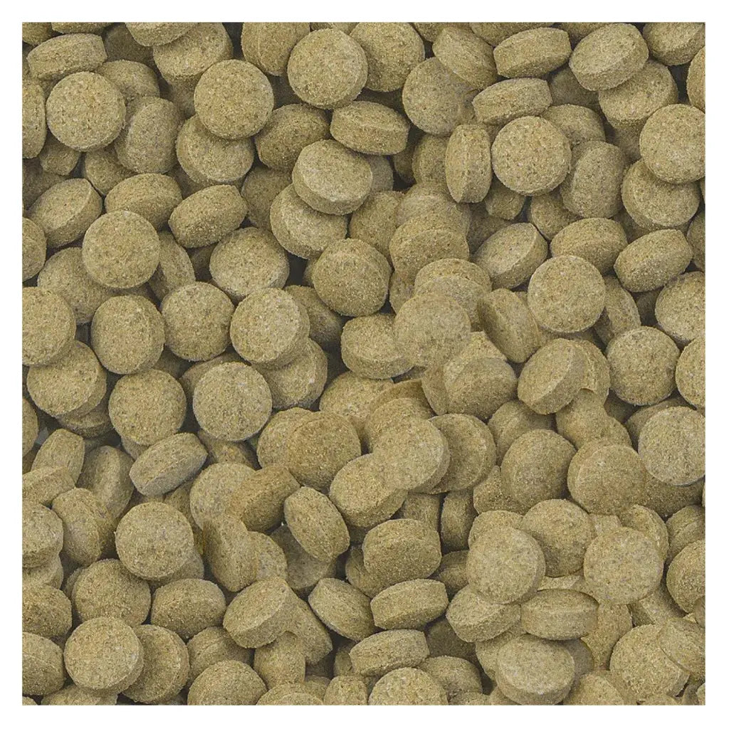 SERA VIFORMO BOTTOM FEEDER TABLETS FISH FOOD 64G