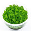 MONTE CARLO TISSUE CULTURE CUP PLANT