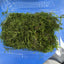 Fresh Christmas Moss in Box 9cmx6cm