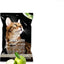 BENTONITE CAT LITTER 25L