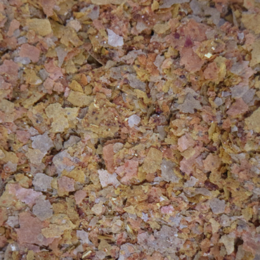 API Flakes Tropical Fish Food 10g