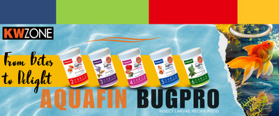 أكوافين بوجي برو الجديد