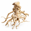 Natural Branch Driftwood – 40–60 cm